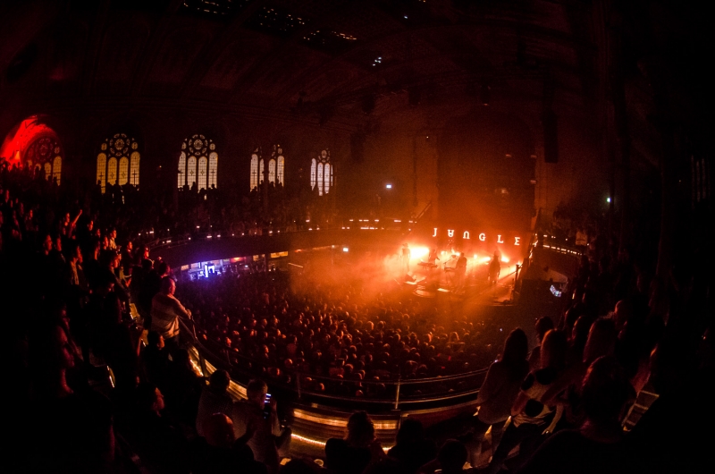 Jungle Albert Hall