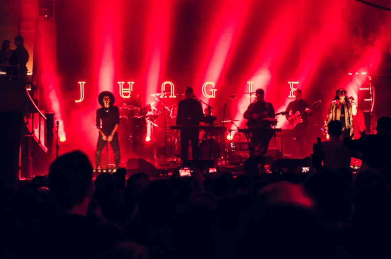 Jungle Albert Hall