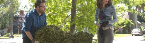 Seth Rogen and Rose Byrne in Bad Neighbours film review