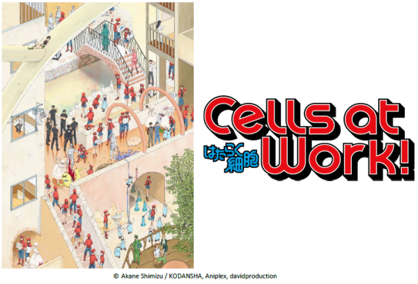 Cells at Work Anime Review